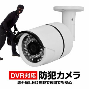  outdoors installation possible infra-red rays LED installing waterproof CMOS camera [ circle type ]H101B
