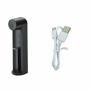 USB充電器 18650リチウム電池用充電器 USB高速 急速充電器 扇風機 懐中電灯 LEDライトなどに 節電対策 airdog サーキュレーター USB1865C