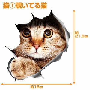 3D感のカーステッカー ウォールステッカー インテリアシール トリックアート だまし絵 はがせる キズ隠し 3DCAT1521/覗く猫