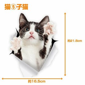 3D感のカーステッカー ウォールステッカー インテリアシール トリックアート だまし絵 はがせる キズ隠し 3DCAT1521/仔猫