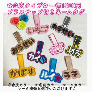 トレポンティ★ユリウスk9★リード★ハーネス★その他キャリーバッグなどにも★ネームタグ