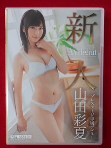 d584　中古DVD　新人 プレステージ専属デビュー　山田彩夏