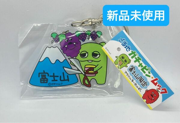 ご当地　ガチャピン・ムック　富士山限定　アクリルキーホルダー　ぶどう　新品未使用