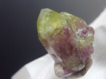 【完全結晶】バイカラー　カナダ産　宝石質　ベスビアナイト　ベスブ石　原石　標本_画像4
