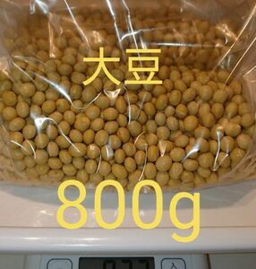 自家栽培 大豆 800g 家庭用 味噌 加工用