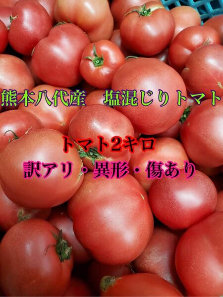 熊本八代産塩混じりトマト2キロ