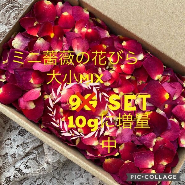 大特価！ミニ薔薇の花びら（大小mix）10gセット★増量サービス中★ミニバラ　ドライフラワー花材★ハンドメイド素材★レジン作品にも