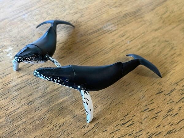 チョコＱ 第６弾 ザトウクジラ 2体