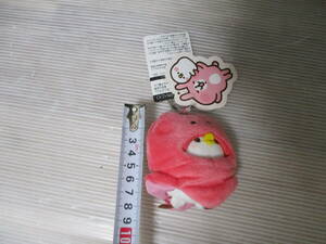  cheap postage * postage 60 size or outside fixed form 300 jpy * kana partition. small animals piske.... octopus san wing na- mascot piske soft toy unused 