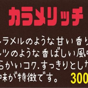 ⑦ カラメリッチ(ブラジル) 自家焙煎 珈琲豆 (100g×3)