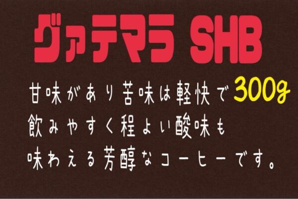 ⑩ グァテマラ SHB(グァテマラ)自家焙煎 珈琲豆 (100g×3)