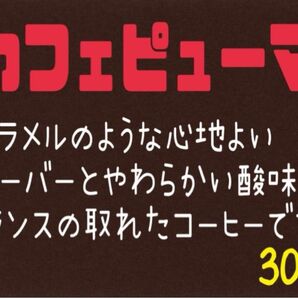 ⑪ カフェピューマ(グァテマラ)自家焙煎 珈琲豆 (100g×3)