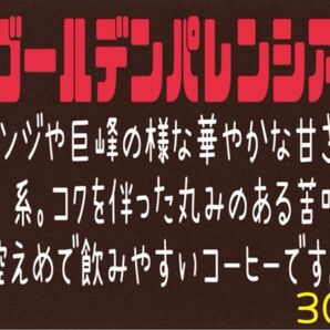 ⑫ ゴールデンパレンシア(グァテマラ)自家焙煎 珈琲豆 (100g×3)