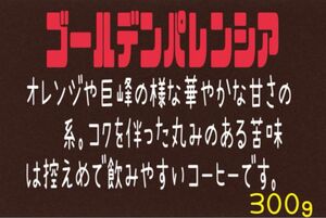 ⑫ ゴールデンパレンシア(グァテマラ)自家焙煎 珈琲豆 (100g×3)