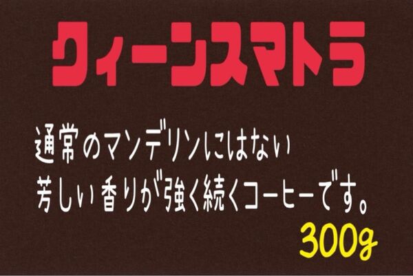 ⑭ クィーンスマトラ(インドネシア)自家焙煎 珈琲豆 (100g×3)