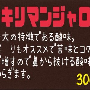 ⑯ キリマンジャロ(タンザニア) 自家焙煎 珈琲豆 (100g×3)