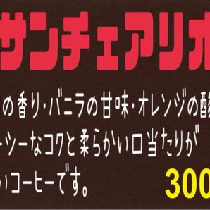 サンチュアリオ(ペルー) 自家焙煎 珈琲豆 (100g×3)