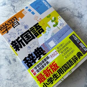 学習新国語辞典　第四版　講談社