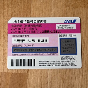 送料込み 最新 全日空 ANA 株主優待券1枚 2024年6月1日から2025年5月31日迄