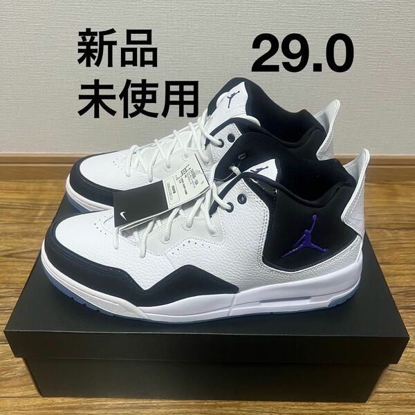 NIKE ナイキ　ジョーダン コートサイド 23 Jordan Courtside 23 29.0㎝