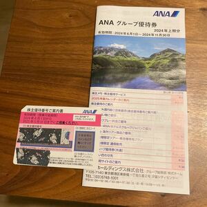 ANA 全日空 株主優待 冊子 