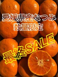 コンパクトボックス発送 家庭用 なつみ 愛媛県産 みかん 果物 ミカン 柑橘