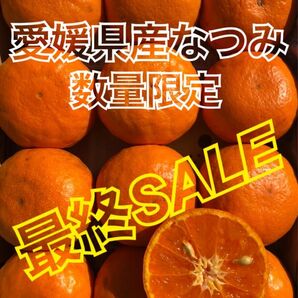 コンパクトボックス発送 家庭用 なつみ 愛媛県産 みかん 果物 ミカン 柑橘