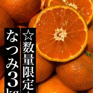 箱別3kg 家庭用 なつみ 愛媛県産 みかん 果物 ミカン 柑橘