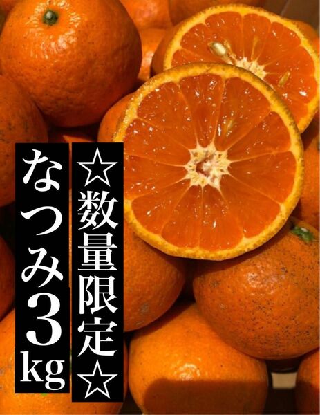 箱別3kg 家庭用 なつみ 愛媛県産 みかん 果物 ミカン 柑橘