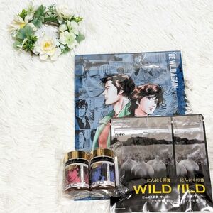 【新品未開封　現品1点限り】やずや　にんにく卵黄WILD×シティーハンター コラボ 容器＆クリアファイル付き新品未使用