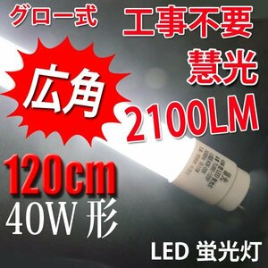 軽量・広角 LED蛍光灯 グロー用40W形 120cm 昼白色(5200K) TUBE-120L