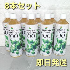 JAおきなわ シークヮ―サー１００ 果汁100％ 500mlｘ8本 原液　シークワーサー　沖縄県産　無添加　シークワサージュース