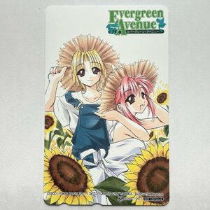 Evergreen Avenue【テレカ未使用50度数】Evergreen Avenue エバーグリーン アベニュー 額面割れスタート！コレクター放出品 8080