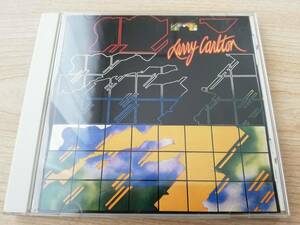 夜の彷徨 / Larry Carlton（ラリーカールトン） / 中古CD 