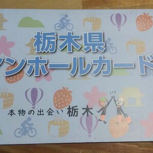 クリアホルダー付 栃木県マンホールカード 11点セット