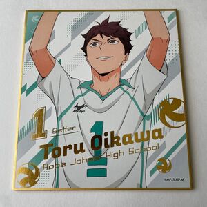 ハイキュー！　色紙　及川徹