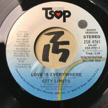 試聴 CITY LIMITS LOVE IS EVERYWHERE 両面EX+ ゴスペル実力派がアーバン・ダンサーを歌い上げます _画像1