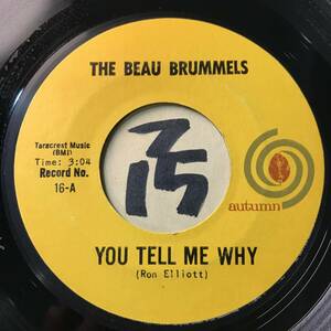  audition THE BEAU BRUMMELS YOU TELL ME WHY both sides EX+