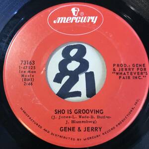  прослушивание Chicago * душа GENE & JERRY SHO IS GROOVING двусторонний EX+