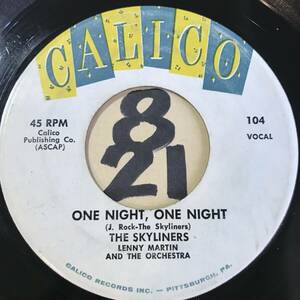  audition DOO-WOP Dan sa-THE SKYLINERS ONE NIGHT, ONE NIGHT both sides EX+ crack equipped special price 