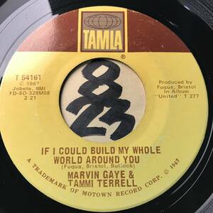  audition MARVIN GAYE & TAMMI TERRELL IF I COULD MY WHOLE WORLD AROUND YOU both sides NM