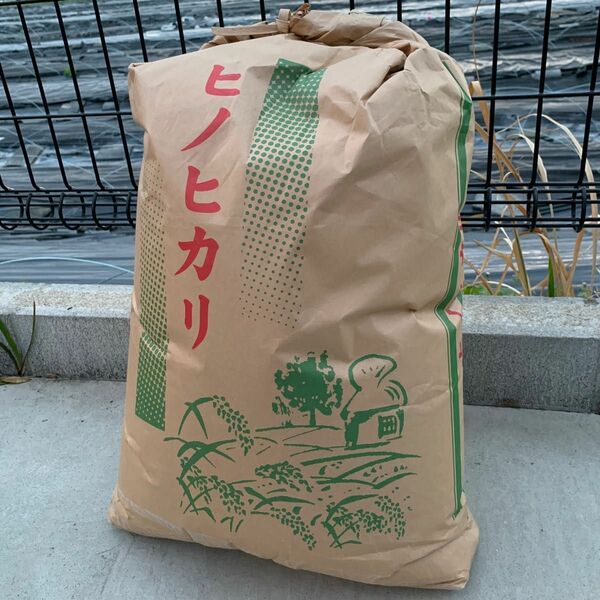 令和5年産　ひのひかり　玄米10Kg