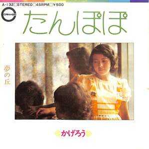 C00194806/EP/かげろう「たんぽぽ/夢の丘(1972年:A-132)」