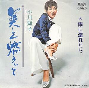 C00187079/EP/小川知子「美しく燃えて/雨に濡れたら(1971年：TP-2385 両面・筒美京平作曲)」