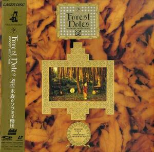 B00177141/LD/遊佐未森＆ソラミミ楽団「Forest Notes Concert with Trees」