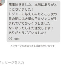 ★送料無料★韓国製の原液や粉末とは効果が全く違います★めだか針子稚魚みじんこに★SuperExcelent生クロレラ原液詰替え用200ml_画像10