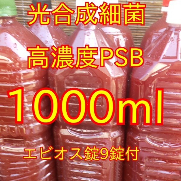 送料無料★自家培養★高濃度光合成細菌PSB1000ml＋培養用エビオス錠９錠★生クロレラも出品中★