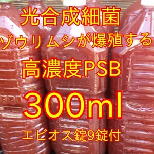 ゾウリムシ爆殖します★送料無料★自家培養★高濃度光合成細菌PSB300ml＋培養用エビオス錠９錠＃生クロレラも出品中