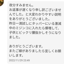 ★送料無料★メダカ針子稚魚ミジンコに★SuperExllent生クロレラ原液詰替用100ml_画像3