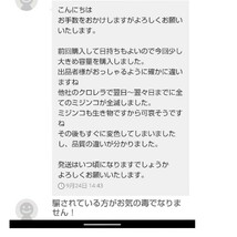 韓国製の原液や粉末とは効果が全く違います★生クロレラ原液250mlパウチ容器発送 _画像8